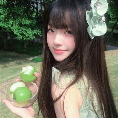 仙人掌花